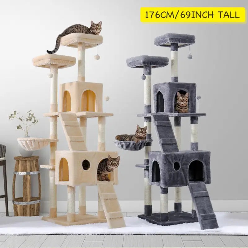Chat escalade arbre à chat jouant sur son arbre de chat
