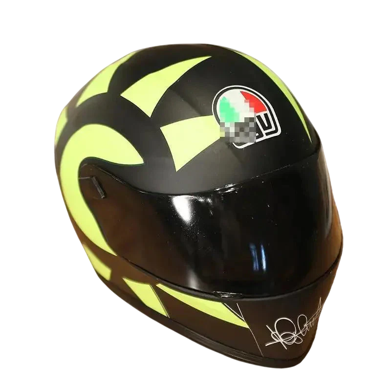 Casco Protettivo per Cani e Gatti - Giri in Moto