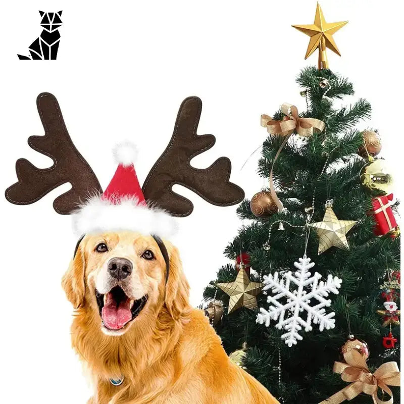 Chapeau pour Chien Renne de Noël