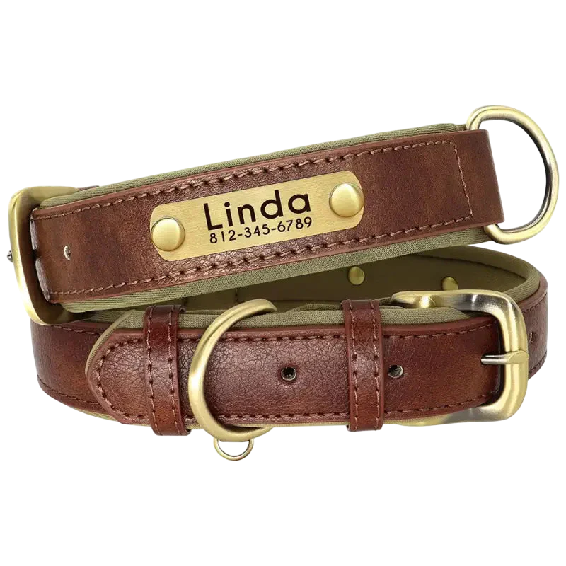 Collare per cani in pelle resistente e personalizzabile