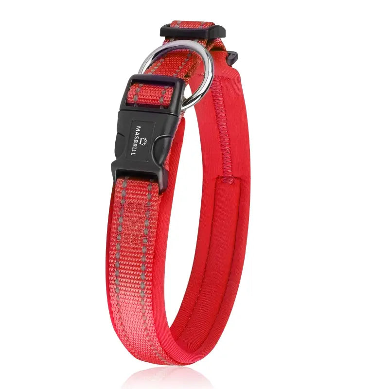 Collier pour Berger Australien