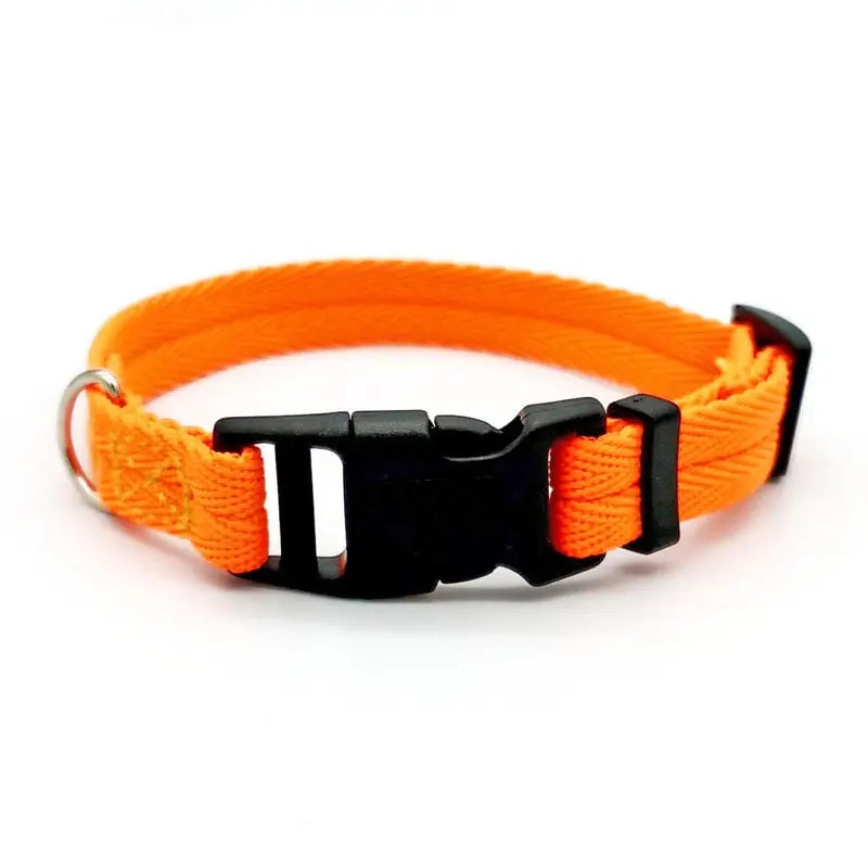Collier pour Dobermann