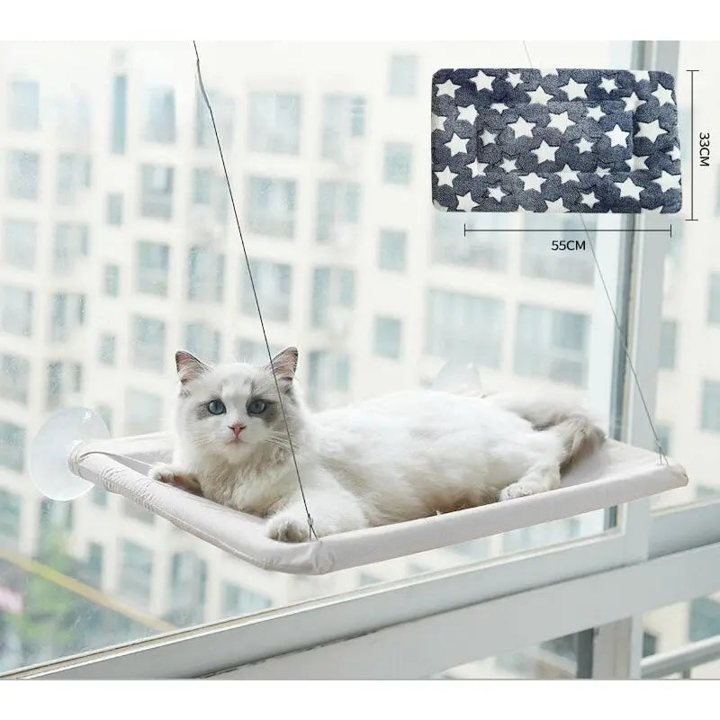 Chat couché sur Hamacat : coin douillet pour la détente des félins