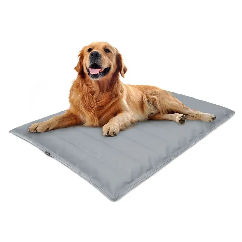 Tapis de refroidissement en gel non toxique pour chien - chien gel tapis rafraîchissant