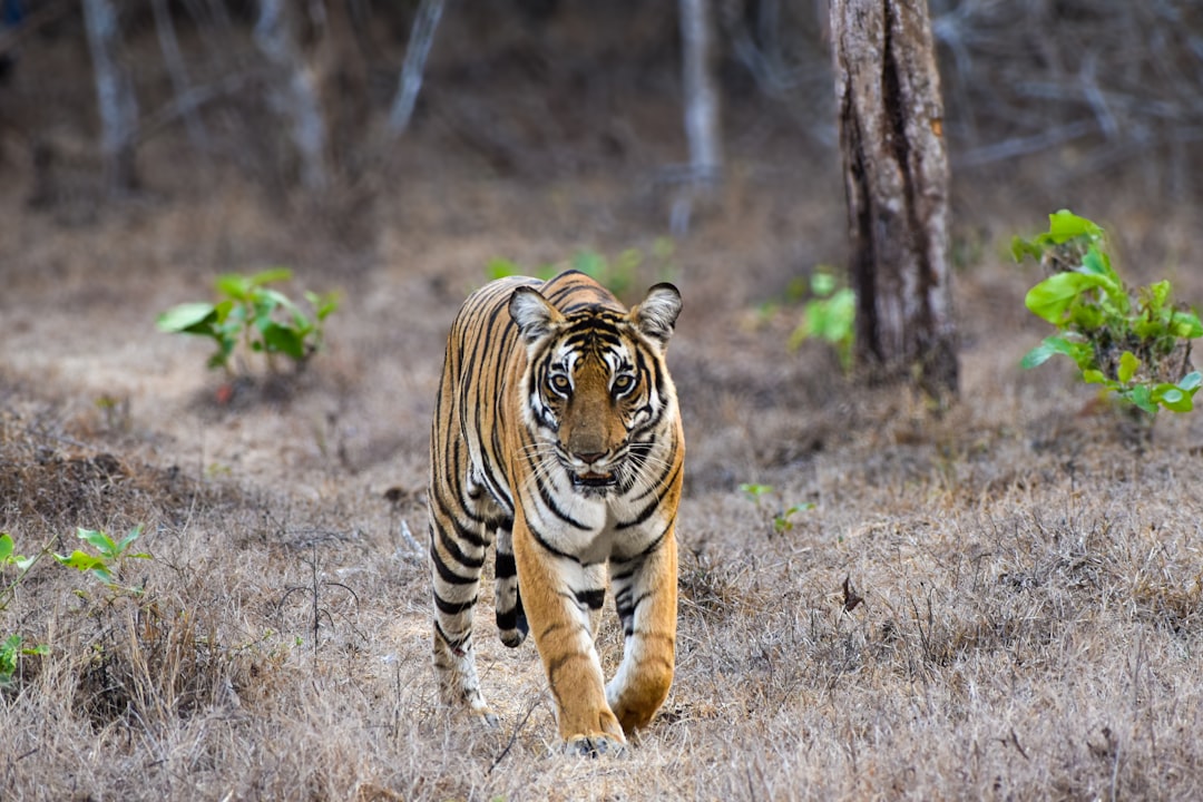 Wetenschappelijk bewezen wat helpt tegen een kater