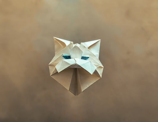 Quante vite ha un gatto Spiegazione scientifica del mito
