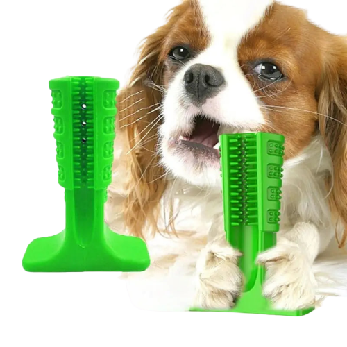 Jouet à mâcher pour chien avec peigne et brosse à dents verte (jouet à mâcher) Transparent Background