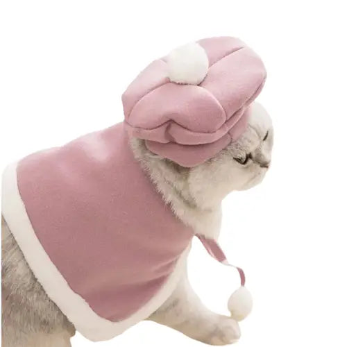 Béret pour Chat Bohème Chic Transparent Background