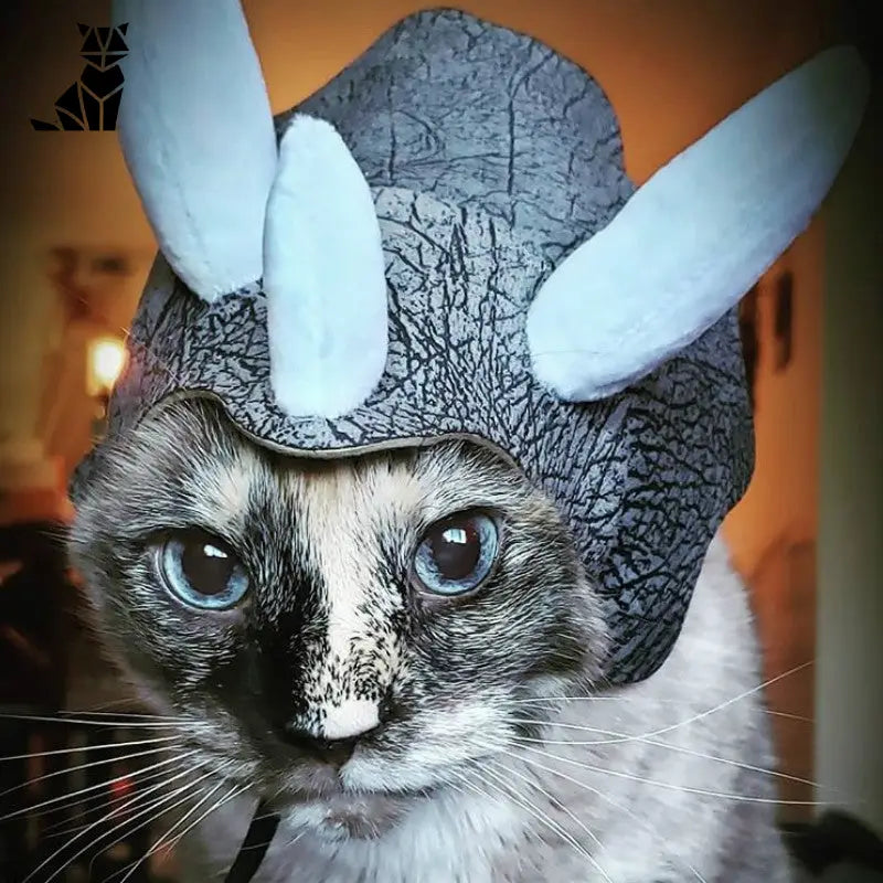 Bonnet pour Chat Tricératops