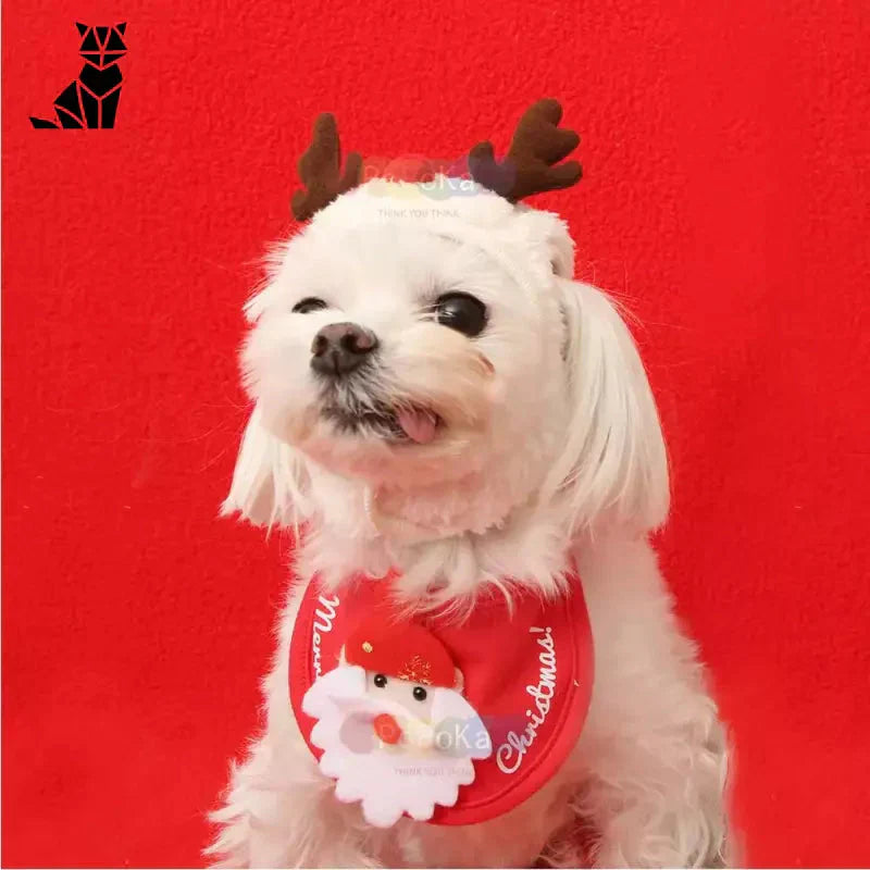 Petit chien blanc festif avec chapeau de renne et bandana rouge pour Noël, parfaite tenue de père noël