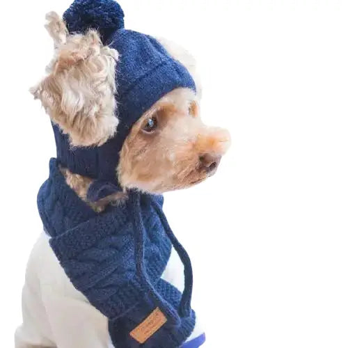 Bonnet pour Chien en Laine d’Hiver (avec écharpe) Transparent Background