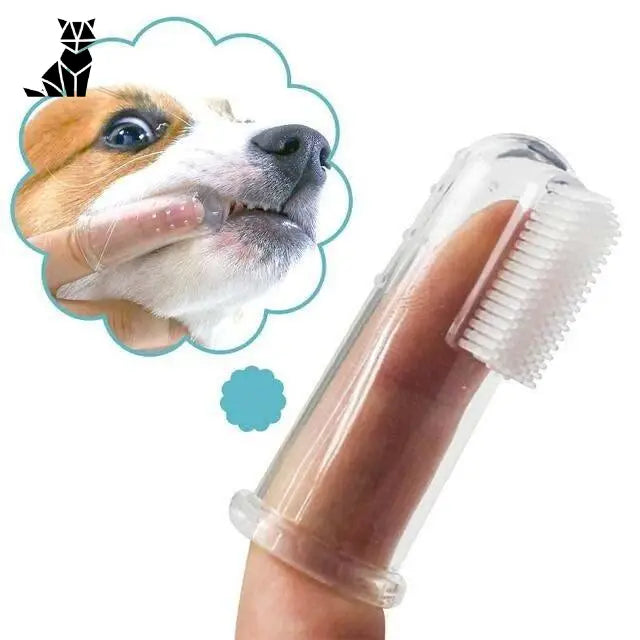 Brosse À Dents Pour Chien / Chat