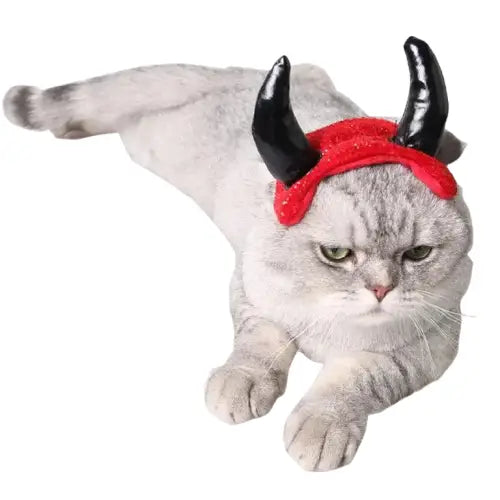 Chapeau pour Chat Diable Rouge Transparent Background