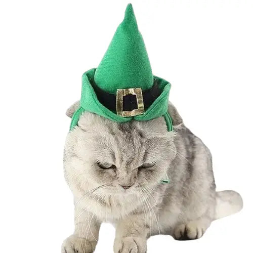 Chapeau pour Chat Sorcière de la Nuit Transparent Background