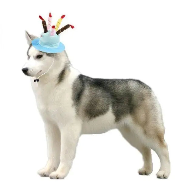 Chapeau pour Chien Bougies d’Anniversaire