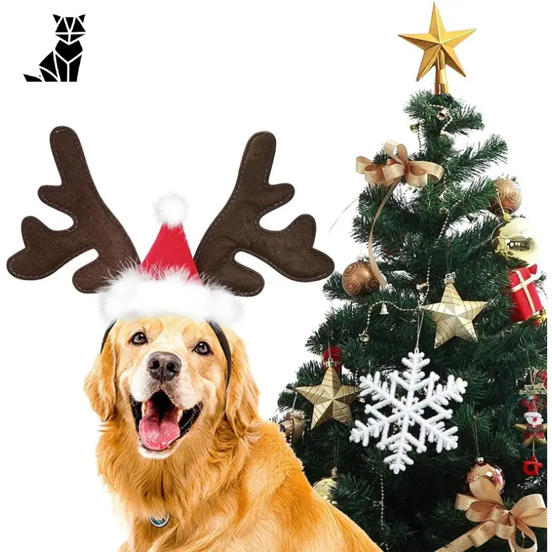 Chapeau pour Chien Renne de Noël