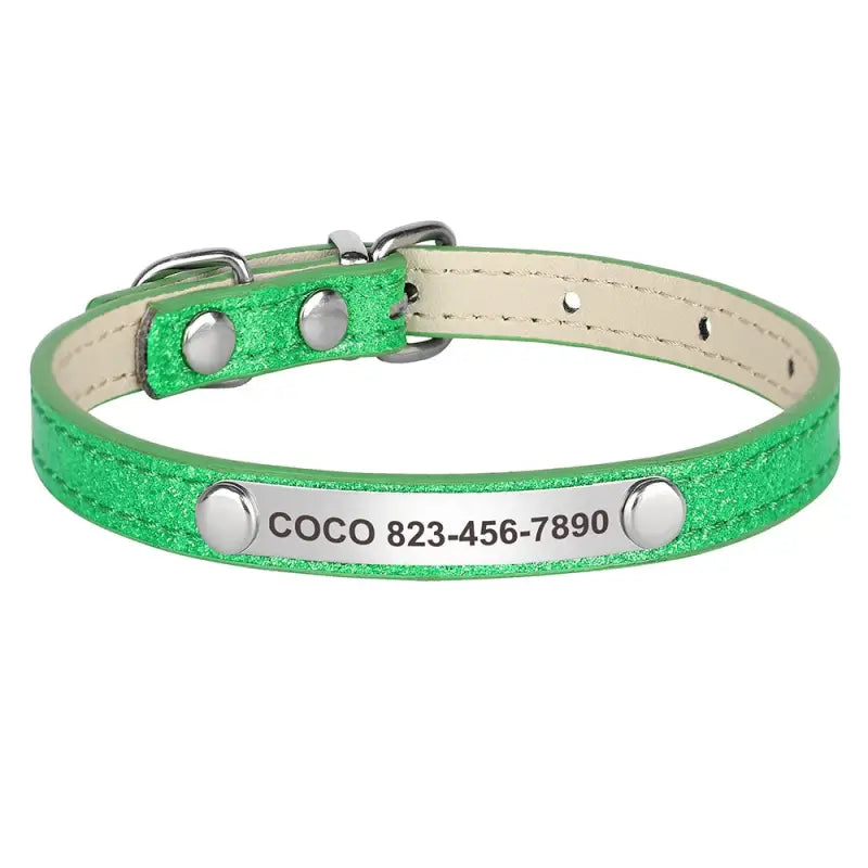 Collier de chien vert à paillettes avec boucle en argent, résistant à l’usure