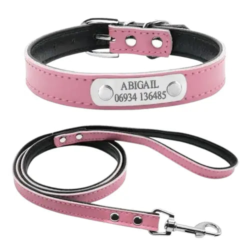 Collier Chien En Cuir Personnalisable Chiots Et Petits Transparent Background