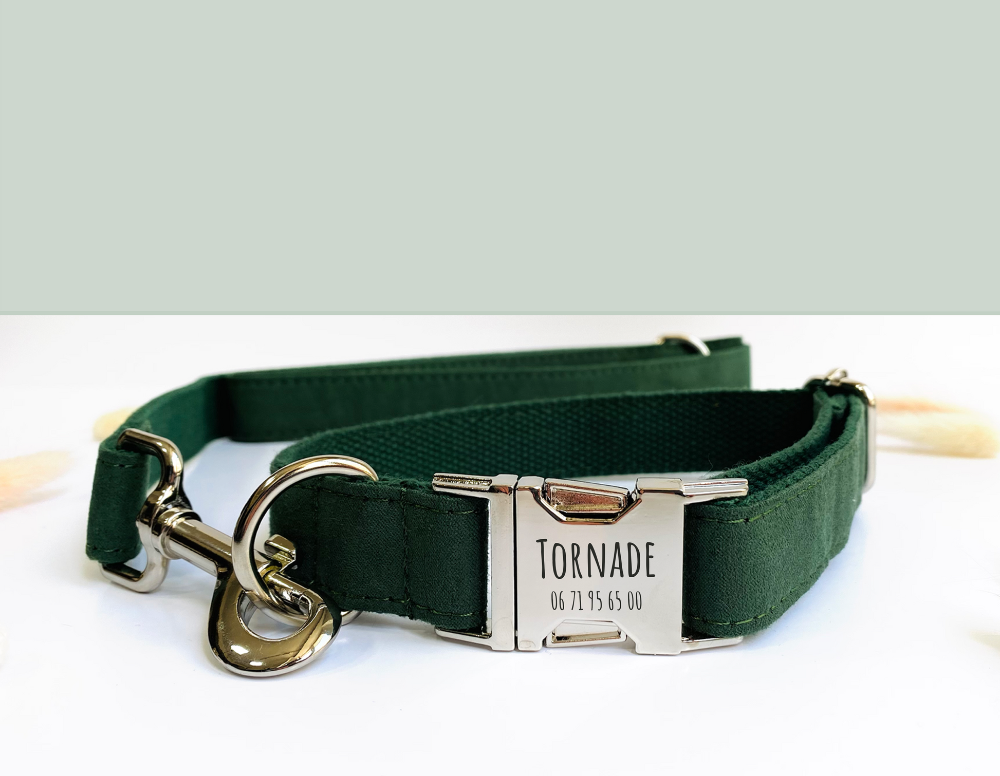 Collier Chien Personnalisé Coton Vert Sapin