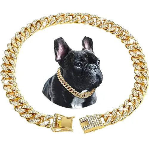 Gros plan d’un chien dans une chaîne cubaine ornée Collier de chien avec chaîne en or et photo de chien Transparent Background