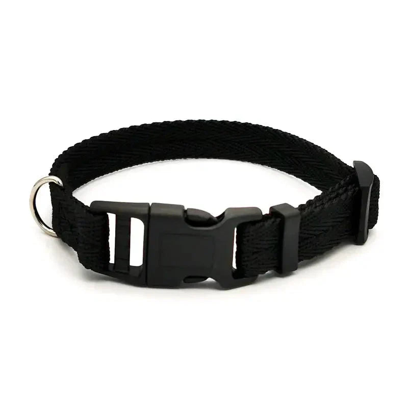 Collier pour Dobermann