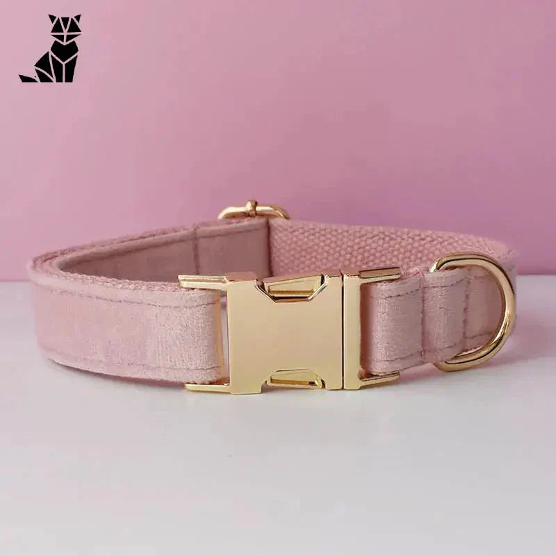 Chien d’amour : Collier pour chien rose avec boucle dorée, velours résistant à l’usure