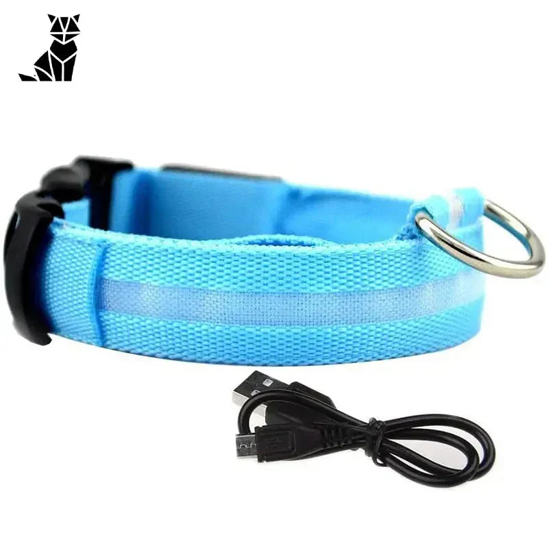 Collier bleu élégant avec anneau en métal - Collier lumineux Brillant Glow pour votre compagnon canin