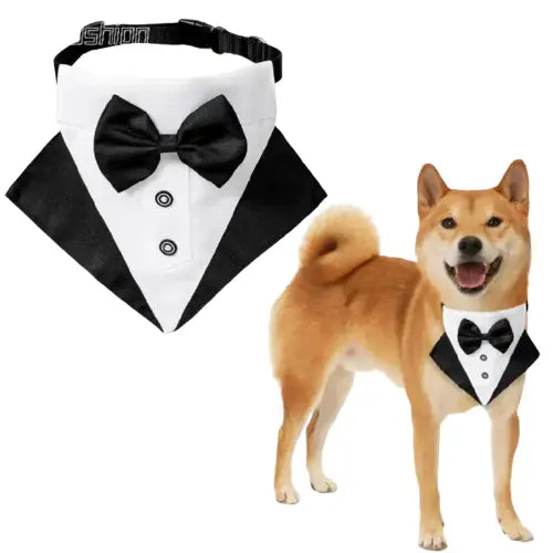 Chic nœud papillon collier pour chien : Chien girafe portant un smoking et un nœud papillon Transparent Background