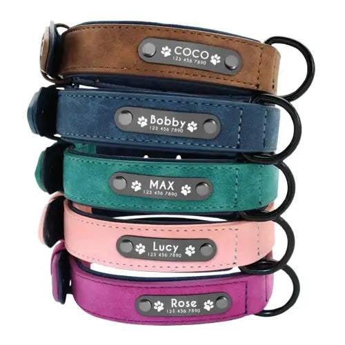 Collier Pour Chien En Cuir Personnalisable Transparent Background