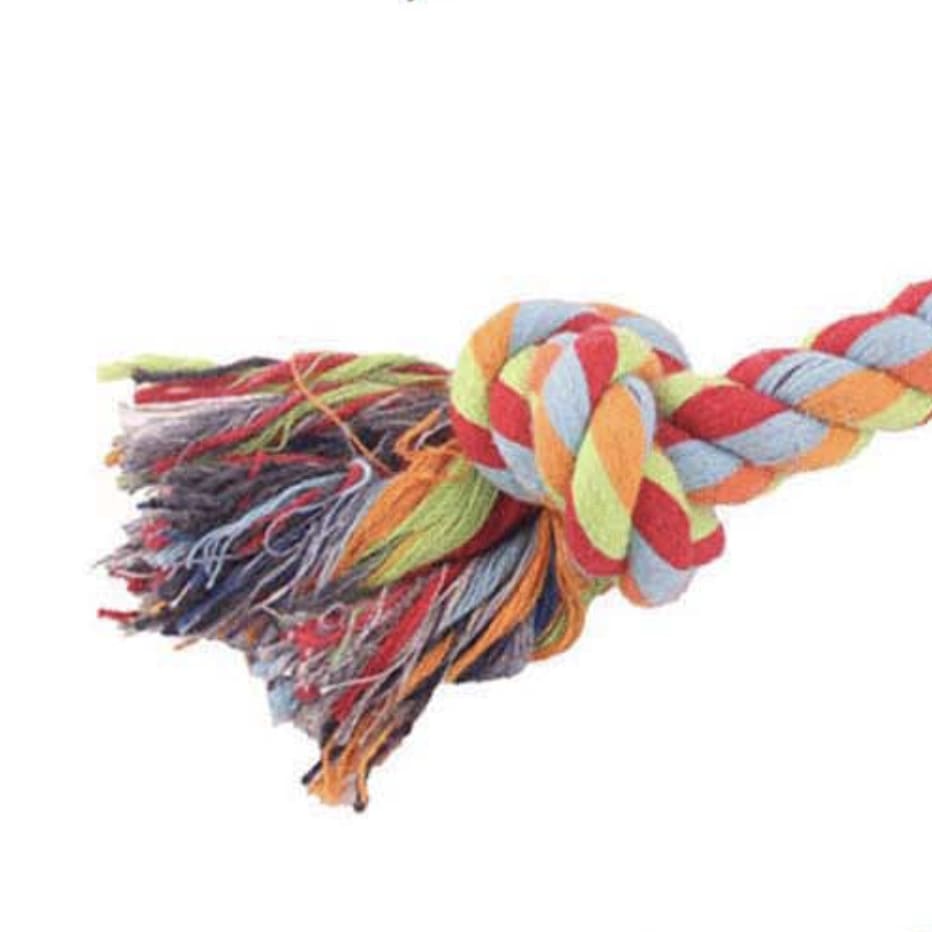 Corde à morde pour chien