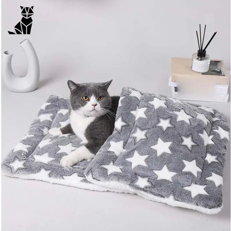 Couverture pour chat | CatsCovered™