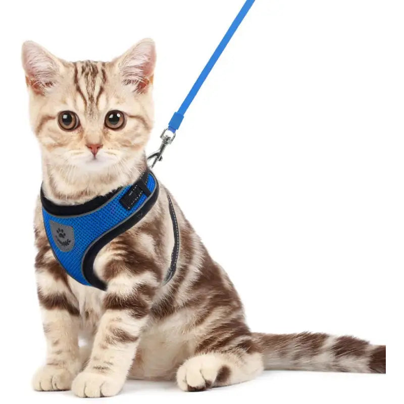 Harnais en nylon pour chat