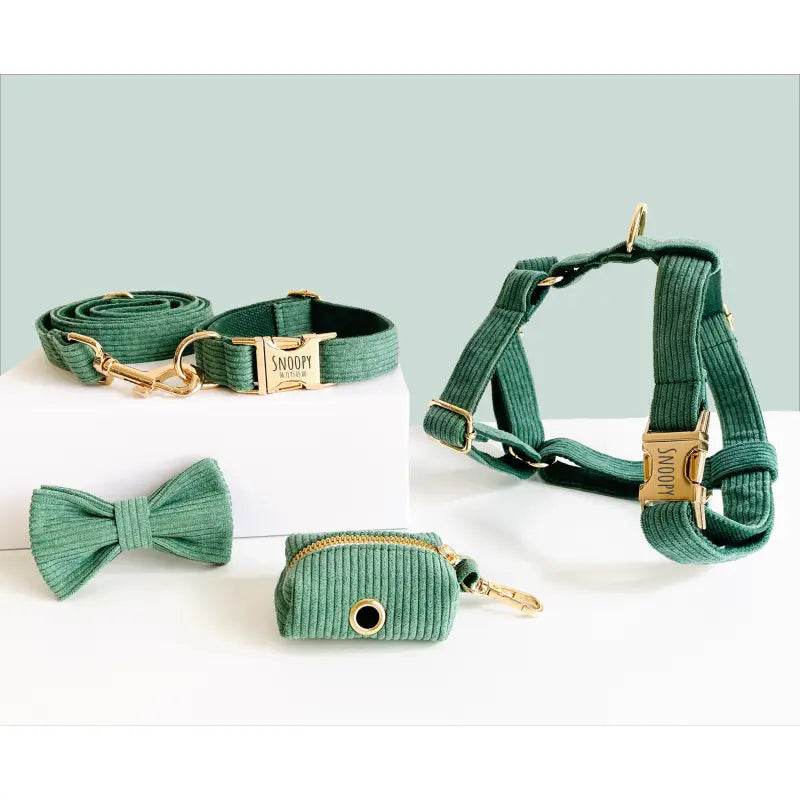 Kit Complet Chien Personnalisé Velours Côtelé Vert