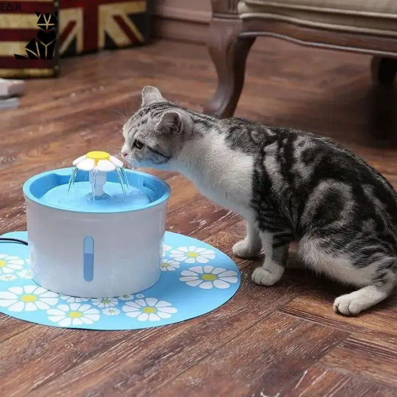 Fontaine à Eau Catdrink™ Avec Filtre à Charbon Pour Le Bien-être De Votre Chat