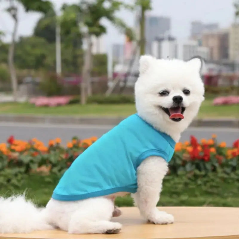 Gilet pour chien