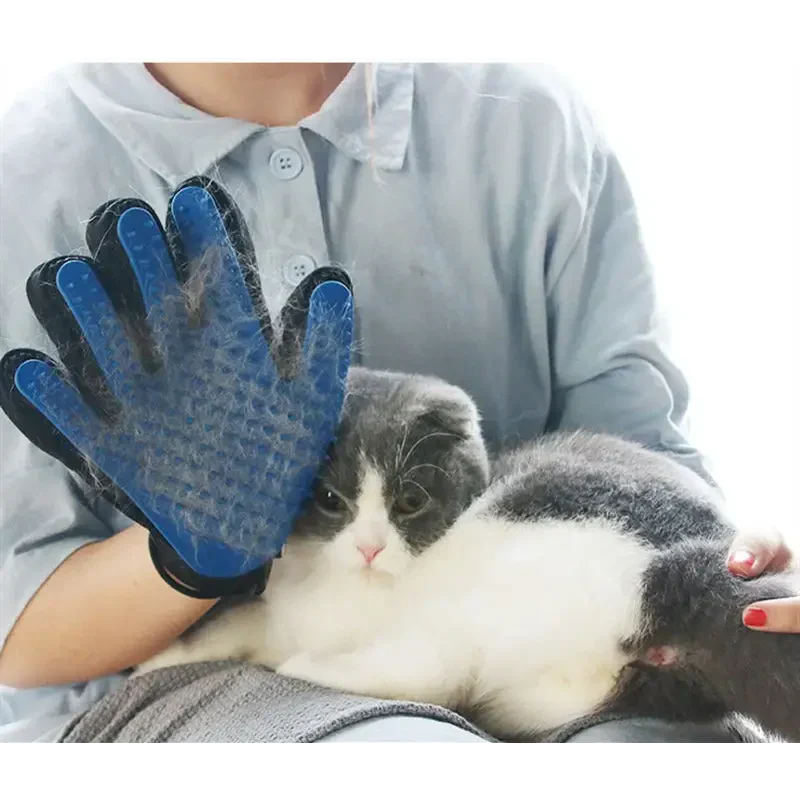 Personne utilisant le Glovicat Cat Glove pour enlever les poils morts d’un chat heureux dans une clinique