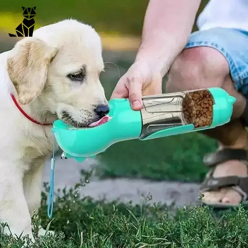 Chien s’abreuvant dans une gourde multifonction avec dragonne autour, une solution pratique pour les animaux de compagnie