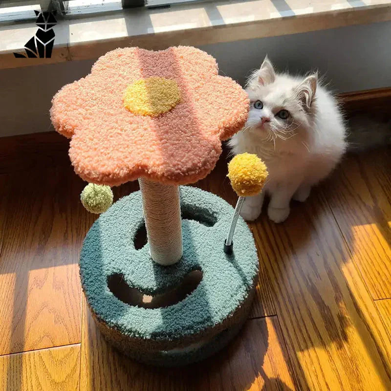 Un chat assis à côté d’un arbre à chat - griffoir pour chat de Tournesol Ajoute pour des griffades amusantes et naturelles