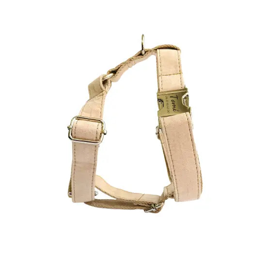 Harnais Chien Personnalisé Coton Beige Transparent Background