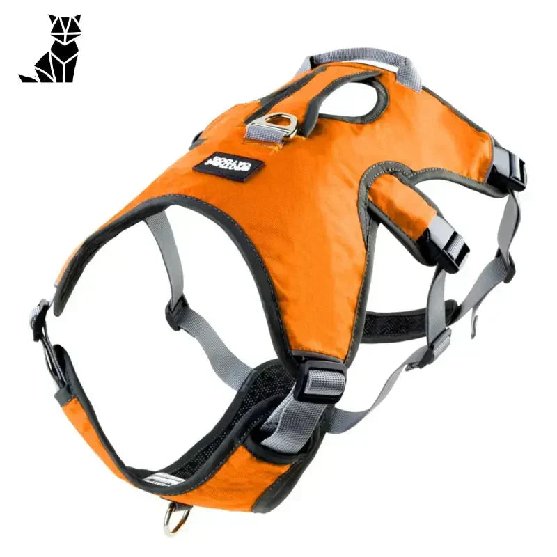 Harnais pour Whippet