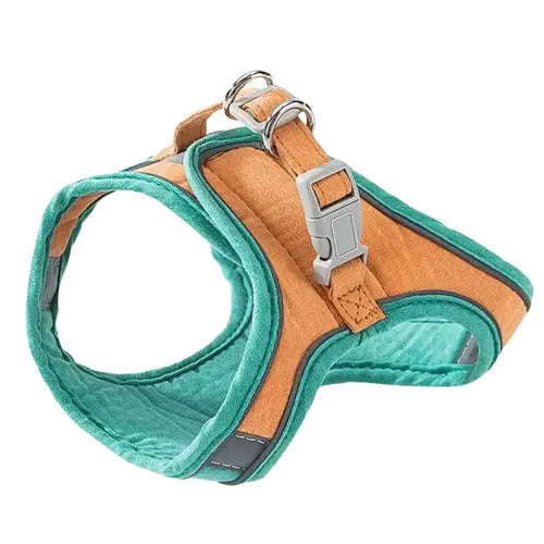 Harnais pour Chat la promenade Transparent Background