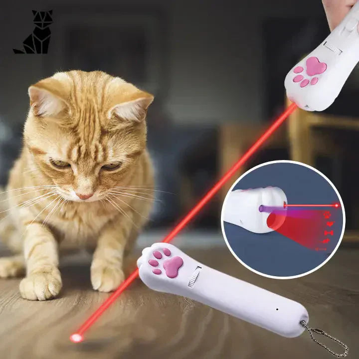 Chat s’amusant avec le jeu laser pour chats Fun toy