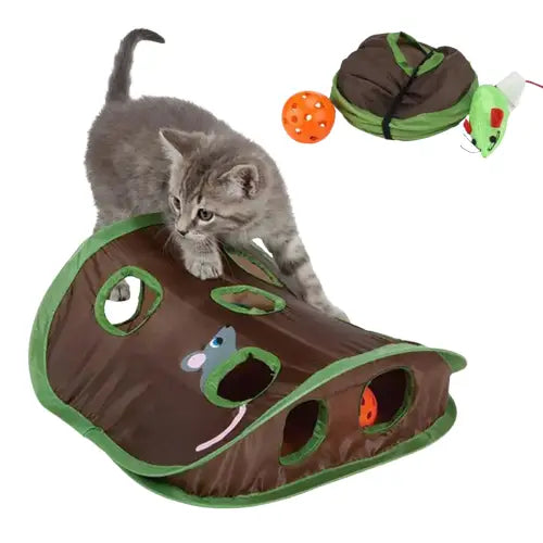 Jouet interactif pour chat stimulant l’instinct naturel : chaton jouant avec le jouet dans le lit du chat Transparent Background