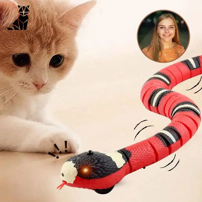 Jouet Serpent Pour Un Petit Compagnon Heureux Et Actif!