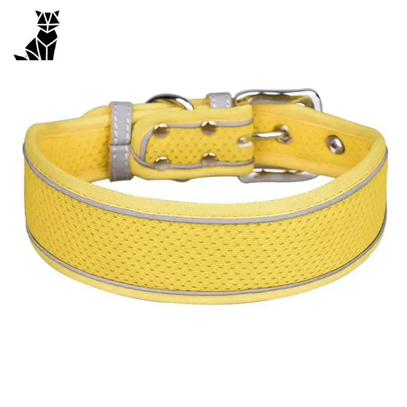 Collier pour Whippet