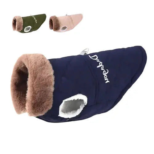 Manteau d’hiver pour chien : Manteau de chien élégant avec col en fourrure et chaussures assorties pour les animaux à la mode Transparent Background