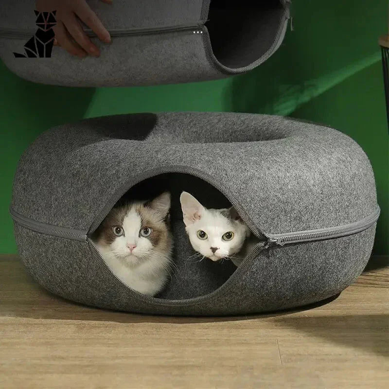 Chat se reposant dans le lit Cozy Cat Kennel gris, repos et douillet