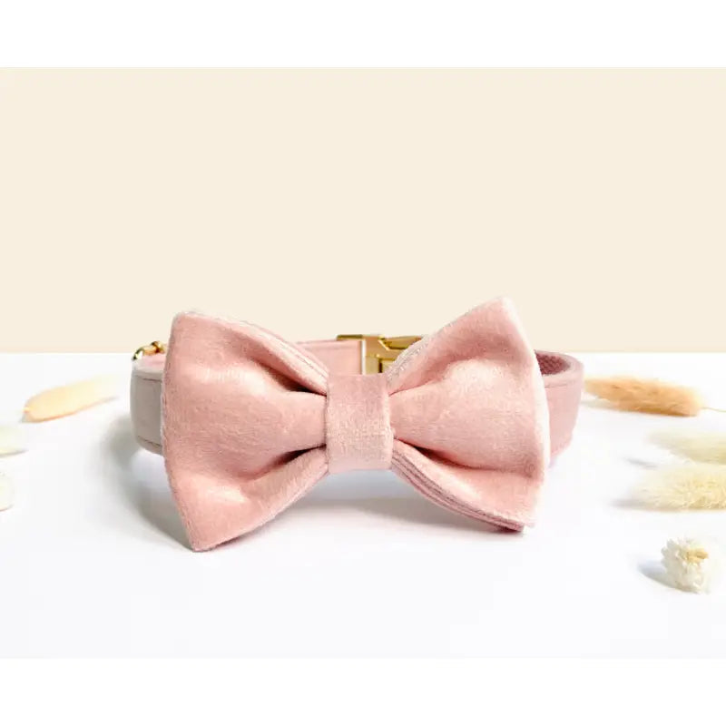 Noeud Papillon Velours Lisse Rose