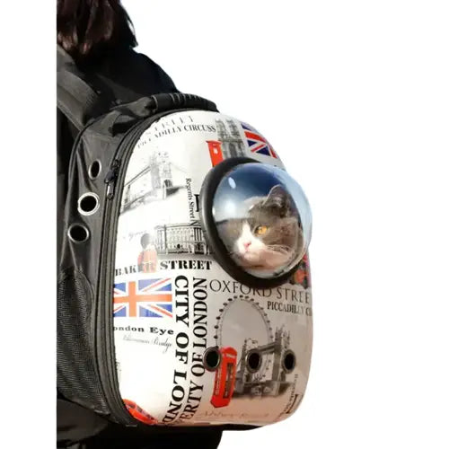 Personne portant un sac à dos transparent pour chat : Vue panoramique et confort pour la vue des animaux de compagnie Transparent Background