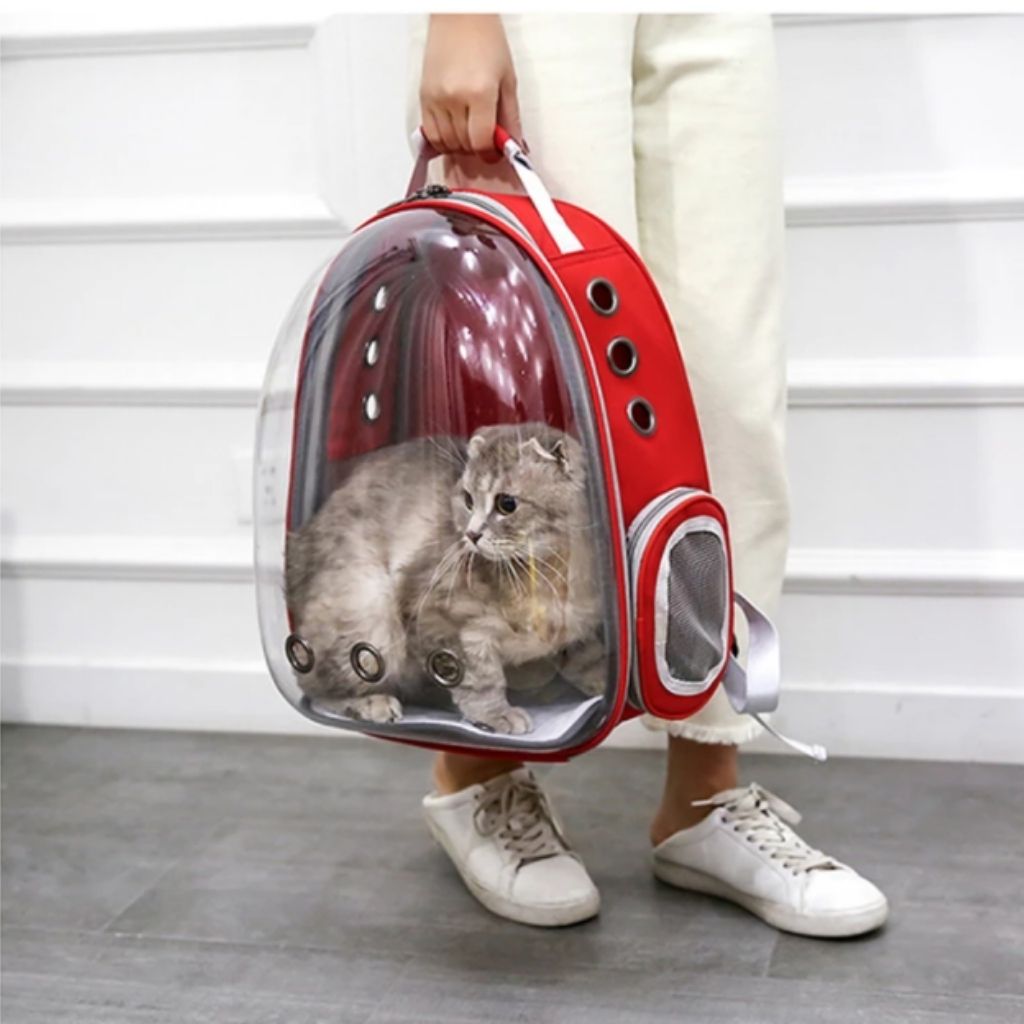 Sac portable respirant pour chat